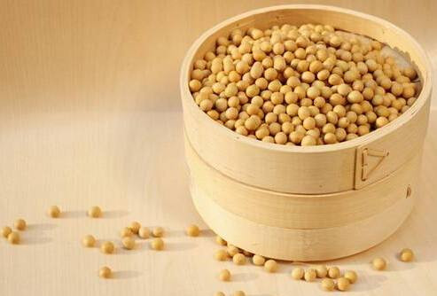 Nutritional research of soy protein