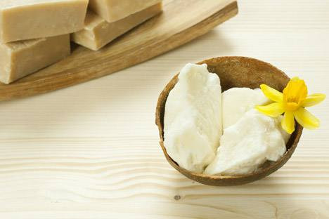 Processing technology of shea butter