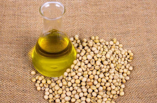 Study on the Leaching Technology of Soybean Oil with High Yield