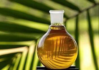 Study on antibacterial activity of original coconut oil derivatives
