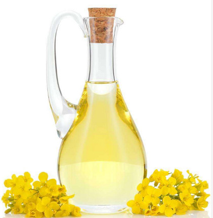 Advances in research on nutritional function of canola oil