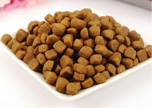 Study on the Characteristics and Development of Pet Food