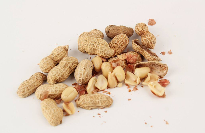 The current situation of peanut processing industry in China (1)