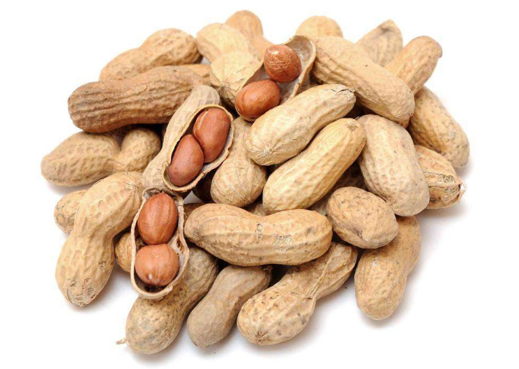 The current situation of peanut processing industry in China (2)