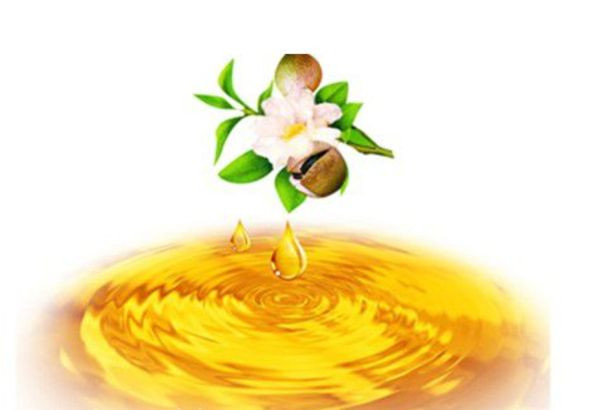 The efficacy of camellia seed oil (2)