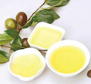 Comprehensive application of camellia seed oil