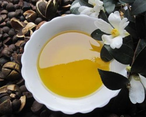 Progress in Research and Application of Camellia Seed Oil